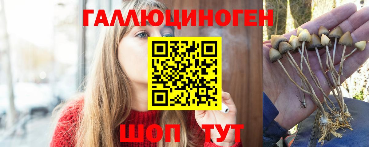 Псилоцибиновые грибы ЛСД  Галлюциногенные грибы Cubensis  Ликино-Дулёво  Вход с VPN 
